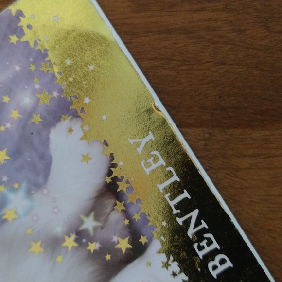 ✨5/$15✨ Children's Book - Magic Puppy-Muddy Paws - Picture 5 of 12